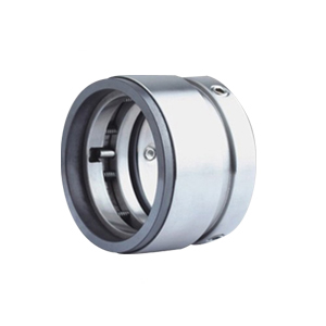 AS-ASAI: AES ASAI mechanical seal replacment